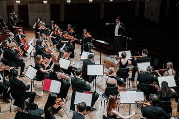 © Rodrigo Marion Pino © Rodrigo Marion Pino