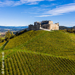 Festspiele Taggenbrunn
